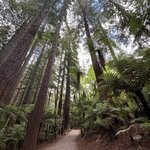 Photo taken by Linda F