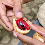 Photo taken by Bryce W