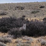 Photo taken by Janine N