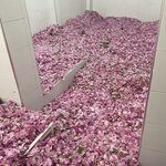 Photo taken by Evelyn K