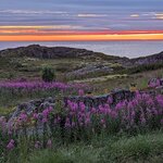 Photo taken by Dani L