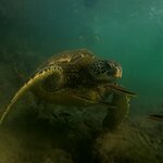 Photo taken by Elise C