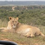 Photo taken by Martin D