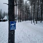 Photo taken by Bianca C