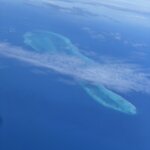 Photo taken by Radha P