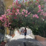 Photo taken by Michael M