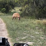 Photo taken by Crystall P