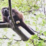 Photo taken by Graeme W