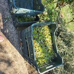 Photo taken by ELIZABETH S