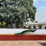 Photo taken by Joey R