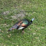 Photo taken by Solomon F