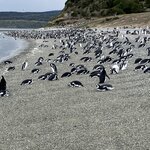 Photo taken by Mary E