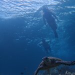 Photo taken by Matteo R