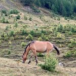 Photo taken by Irwin M