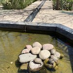 Photo taken by Heather H