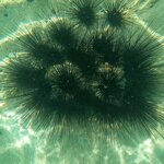 Photo taken by Rob C