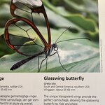 Photo taken by Andrea Y