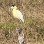 Photo taken by Kakoli K
