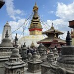 Photo taken by Willow K