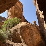 Photo taken by Della O