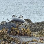 Photo taken by Lauri F