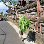 Photo taken by Laurence S