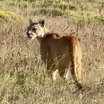 Photo taken by Jeanette W