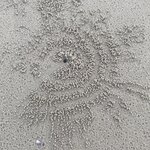 Photo taken by Ginka S