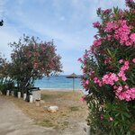 Photo taken by Marlin H