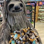 Photo taken by Tracie D