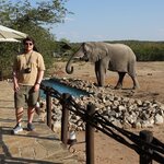 Photo taken by Sandro P