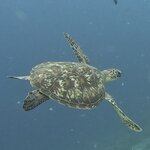 Photo taken by Saima L