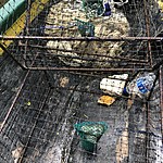 Photo taken by Janice B