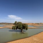 Photo taken by Cecilia A