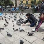 Feeding the pidgeons | Photo taken by Alfredo H