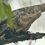 Photo taken by Cindy S