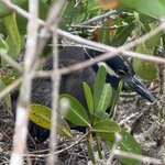 Photo taken by Lisa P