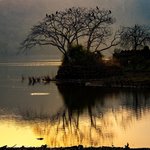 Sunset, Ranthambore ark | Photo taken by Jean M