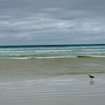 Photo taken by Cathy V