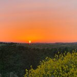 Photo taken by Lisa B