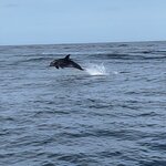 Photo taken by Jennifer H