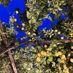 Photo taken by jennifer j