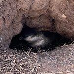 Photo taken by Rosemary S