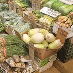 Photo taken by Sailesh P