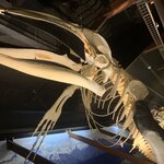 Photo taken by Debbie I