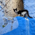 Photo taken by Hunter M