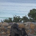 Photo taken by Joanne B