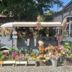 Photo taken by Kaisha S