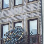 Photo taken by Kaisha S