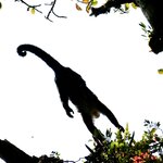 Photo taken by Joyce C